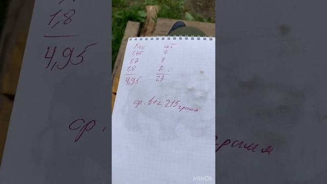 Рост форели в еврокубке за 1 год с личинки