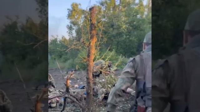 ? Хохлов берут в плен пачками - свежие кадры с фронта ?Русское Запорожье. Очередные тарасики дово смотреть онлайн
