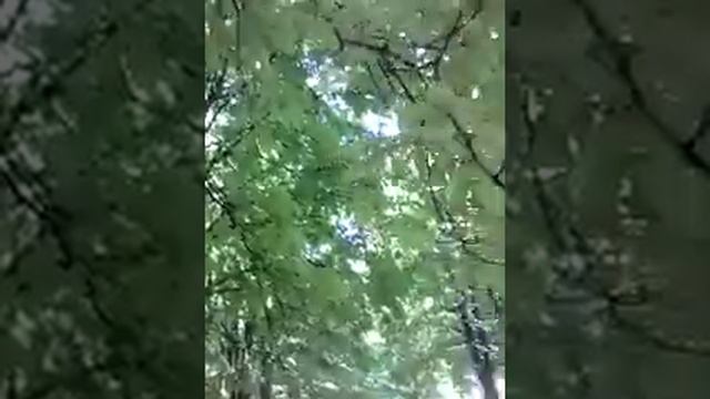 Александр Бражник музыка Слова НАТАЛЬИ МЕРКУЛОВОЙ МОЙ ЕДИНСТВЕННЫЙ НАЙДИ МЕНЯ смотреть онлайн