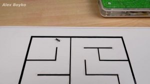 Что если запустить Муравья в нарисованный лабиринт? alex boyko