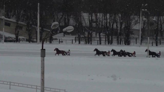 Московский ипподром. Бега. 18.02.18. Заезд 5(81) смотреть онлайн