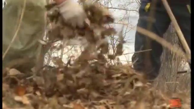 Месячник по санитарной очистке и благоустройству территорий города пройдет в Братске смотреть онлайн