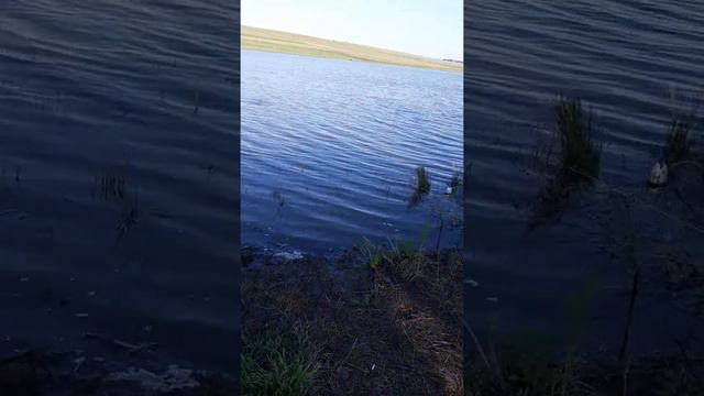 Токуз(каушанский район) смотреть онлайн