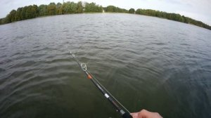 Ловля щуки на крупный силикон.