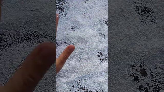 Порвали подушку с (МАЛЕНЬКИМИ ШАРИКАМИ!!!)??? смотреть онлайн