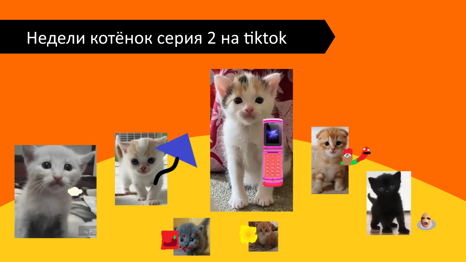 Недели котёнок серия 2 на tiktok смотреть онлайн