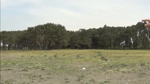 Кобулетти.Воспоминания о пионерском лагере Закво Чайка смотреть онлайн