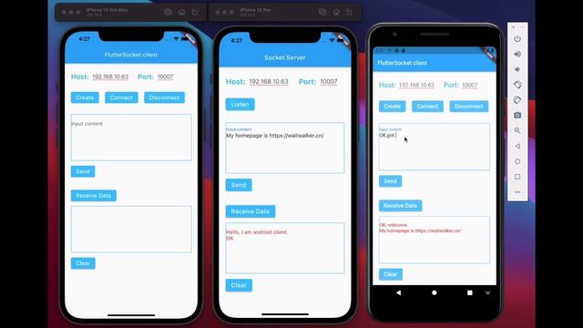 Example of use Flutter Socket Plugin~ смотреть онлайн