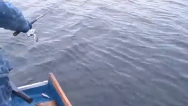 Зимняя ловля щуки. Борьба со щукой на 4,4 кг смотреть онлайн