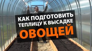 Подготовка теплицы к высадке овощей. ЗАВОД ГОТОВЫХ ТЕПЛИЦ