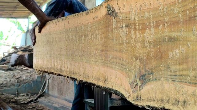 Terancam di miskinkan kayu terkuat sawmill batal kirim Korea Selatan bahan furniture.woodworking смотреть онлайн
