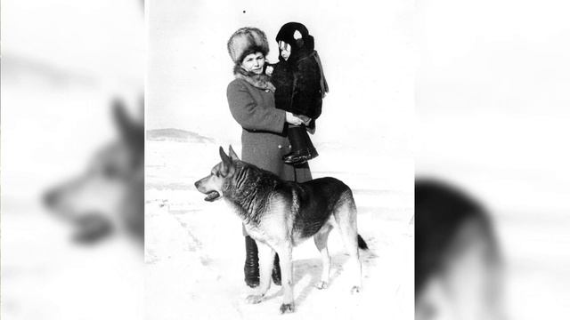 Мой Сихотэ-Алинь. Часть первая. На Дальний, на Восток... смотреть онлайн