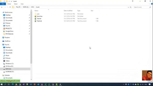 #05 Work with VisualSVN Trunk, Branches and Tags | VisualSVN Tutorial смотреть онлайн