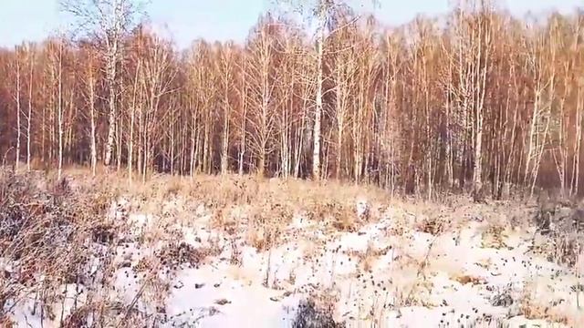 Народный праздник - Григорий Зимоуказатель смотреть онлайн