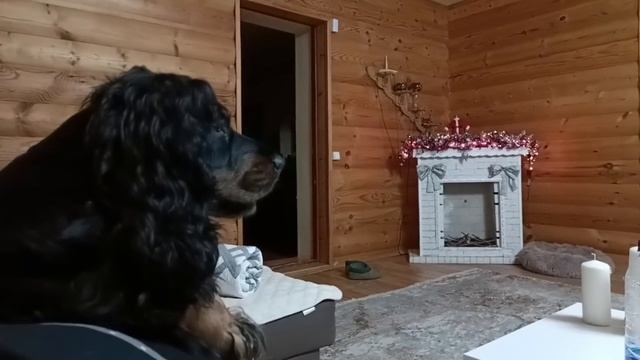 КРИСТИНА КУПИЛА МИКРОВОЛНОВКУ,ЧАЙНИК ОБЗОР/ДЕТИ ПРИВЕЗЛИ СЕРГЕЯ ПОДАРОК КОПТИЛЬНЮ /КУПИЛИ МИШЕ ТЕЛЕ смотреть онлайн