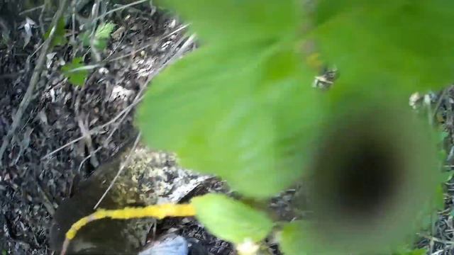 Рыбалка на Тереке 2021г смотреть онлайн