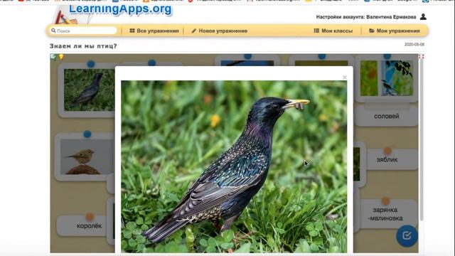 Занятие для школьников "Птицы" смотреть онлайн