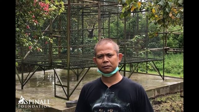 Made Wedana talks about our project in Java смотреть онлайн