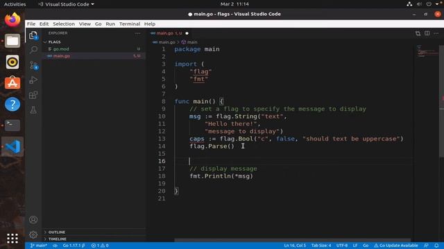 An introduction to using flags in Go смотреть онлайн