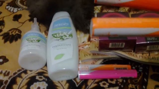 ШОК!!!!ОБМАН!!!Чтобы заработать в эйвоне-нужно делать огромные заказы!!!!Смотреть всем!!!! смотреть онлайн