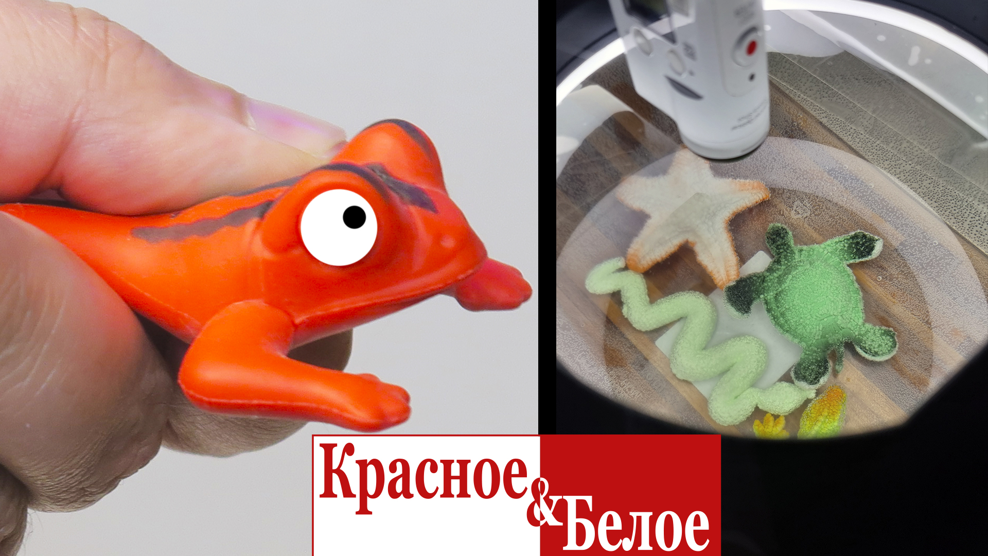 ТОПовые новинки в КБ! Космос и земноводные смотреть онлайн