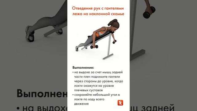 Отведения рук с гантелями лежа на наклонной скамье смотреть онлайн