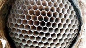 Что это такое? )))