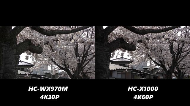 Panasonic HC-X1000 4K vs Panasonic HC-WX970M 4K смотреть онлайн