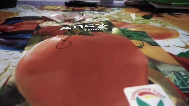 Томаты в открытом грунте.Урал. смотреть онлайн