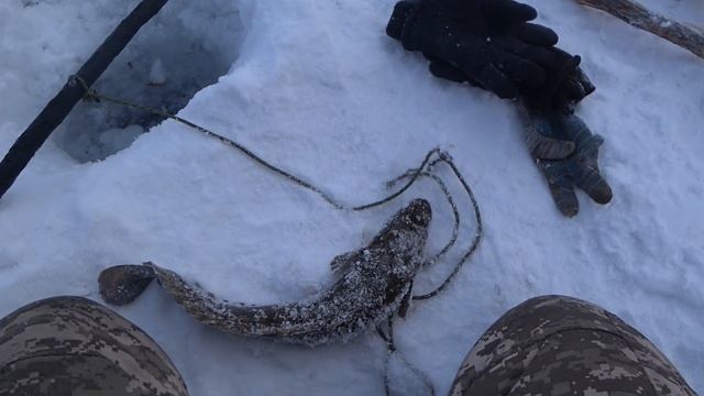 Выезд на реку Мая. Проверка тычек. смотреть онлайн