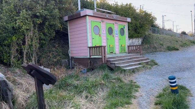 Гуляла с Собиной /Отвечаю на вопросы /Корейский рынок/Korea Vlog