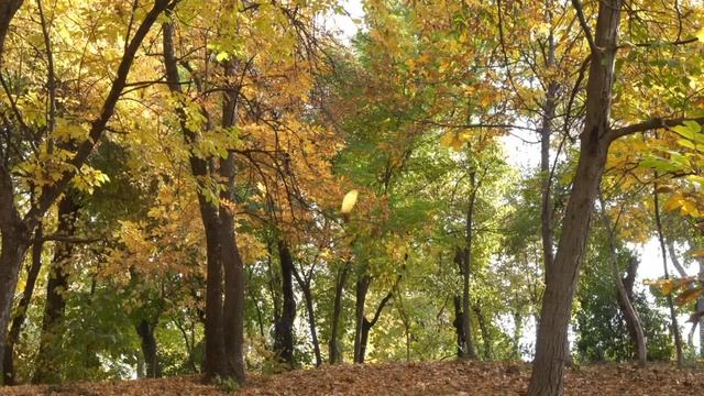 Пыталась управлять всеми в доме, заставляла, воспитывала. смотреть онлайн