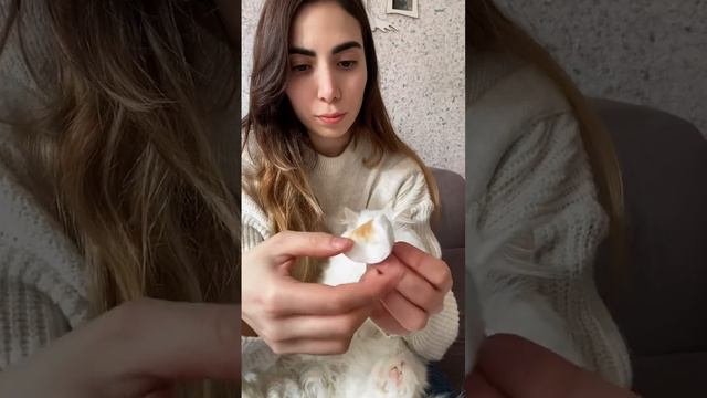 Kedilerde Göz Akıntısına Son! 🙈 смотреть онлайн