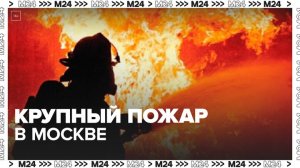 Площадь пожара в Чертанове достигла 150 квадратных метров - Москва 24