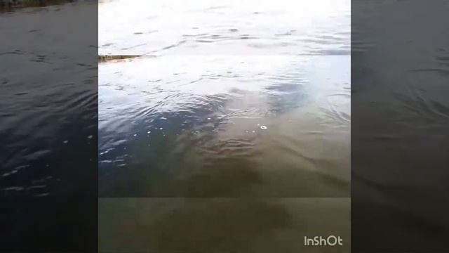 SUP сплав 6 марта, Масленица ?☀️??2022 смотреть онлайн