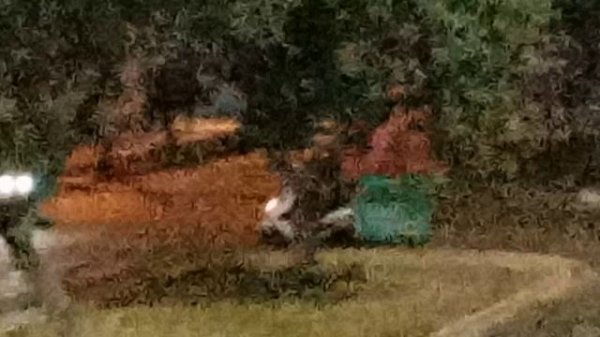 RUNNING WELL ON A HIGHWAY