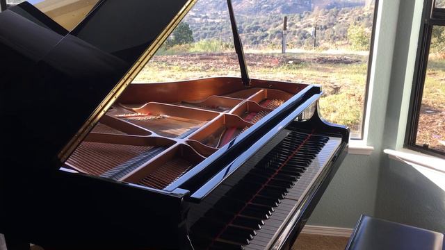 Yamaha GB-1 Player Baby Grand Piano (Music By Jon Schmidt All Of Me смотреть онлайн