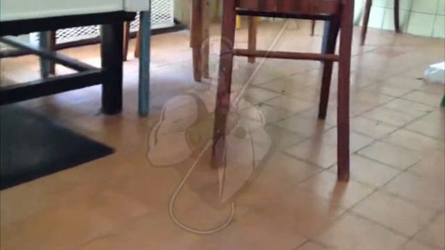 62 65 63 ДезГарант смотреть онлайн