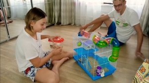 КАК СДЕЛАТЬ ТОННЕЛЬ ДЛЯ ХОМЯКА 2 ЧАСТЬ | ХОМКА СЧАСТЛИВ!!!