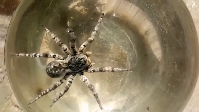 И он был в стиральной машине ? смотреть онлайн
