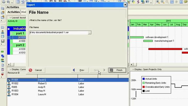 Primavera P6 Export a project смотреть онлайн