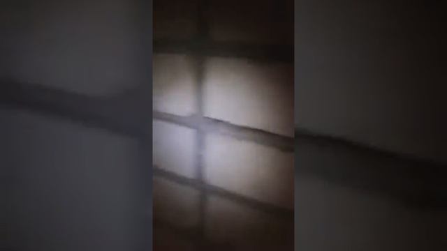 здоровые тараканы атакуют города смотреть онлайн