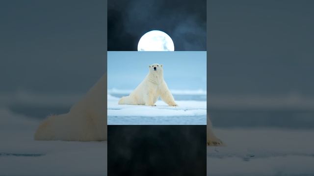 САМАЯ СЛОЖНАЯ ЗАГАДКА В МИРЕ... смотреть онлайн