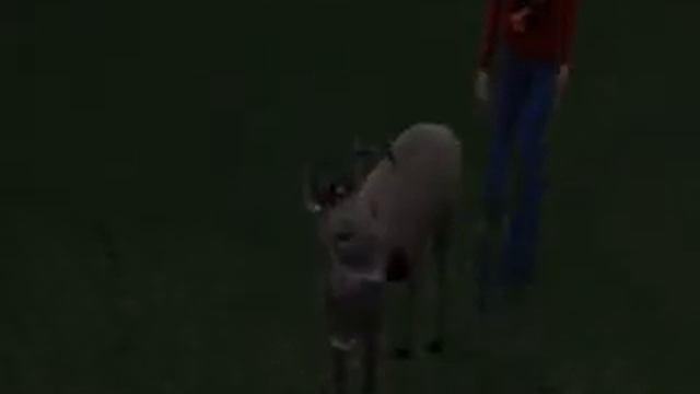 Я встретила оленя в симс 3! :) смотреть онлайн