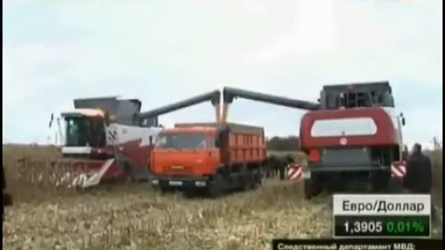 Профессия Мастер сельскохозяйственого производства ПЛ 60 смотреть онлайн
