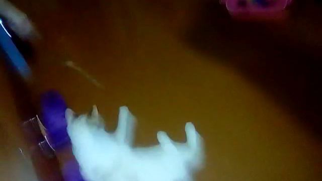 Как кошки охотятся смотреть онлайн