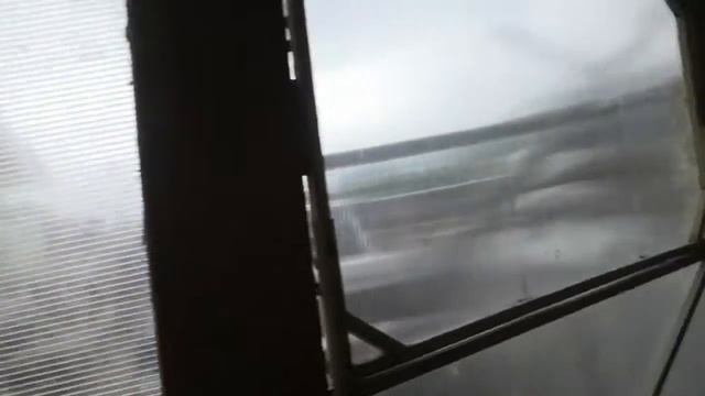 Про куриц, курятник у забора, куры с птице фабрики смотреть онлайн