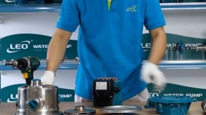 LEO AJm75S Pump Disassembly & Assembly