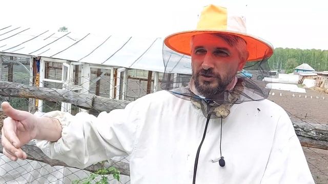 Как увеличить процент облёта маток в хвостах смотреть онлайн