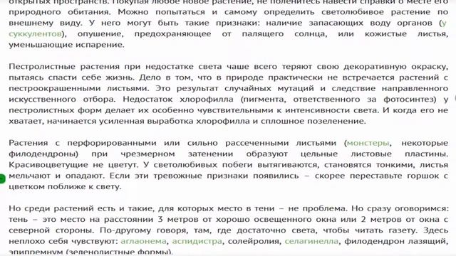 Требования растений к уровню освещения смотреть онлайн